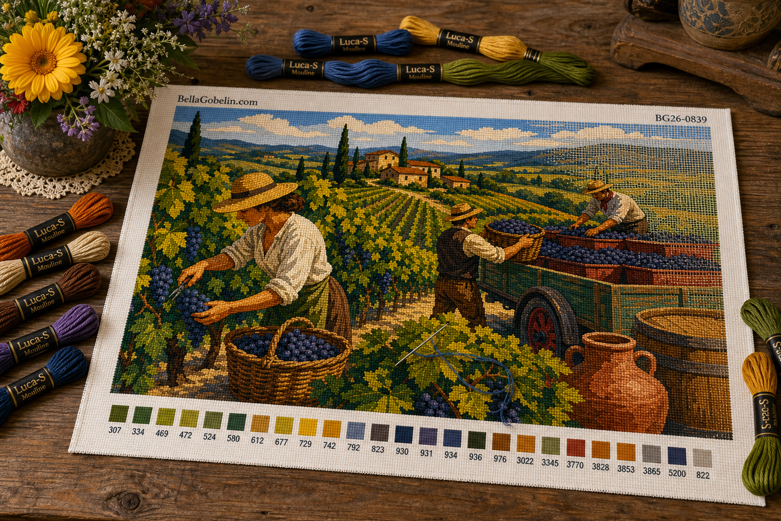 Viață de recoltare a strugurilor toscani