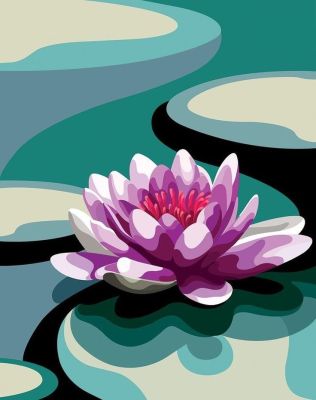 Nymphaea – 24-133