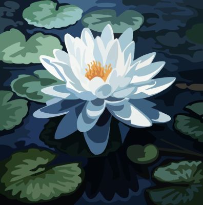 Nymphaea – 24-135