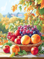 Coș cu fructe natură moartă – 25-239