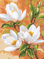 Magnolii minunate