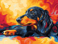 Portret de câine Dachshund, cățel Dachshund – 25-353