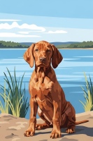 Portret de câine - Rățușcaș Vizsla pui la lac