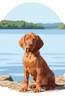 Portrete de câini - Vizsla la lac