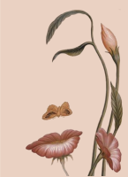 Fața florii