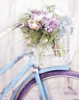 Flori și bicicletă