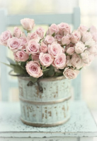 Buchet romantic de trandafiri