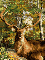 Cerbul – BG-059